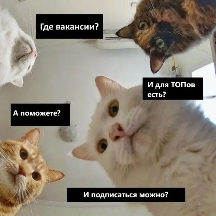 Где и как искать работу?