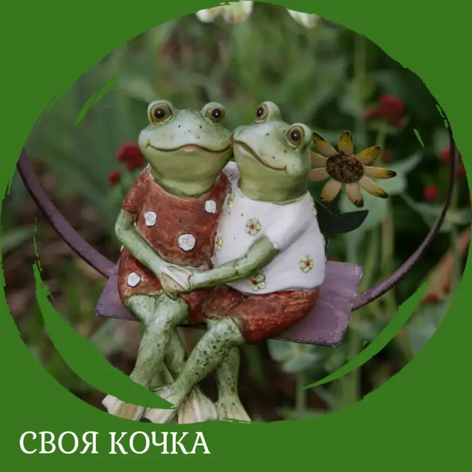 Своя кочка