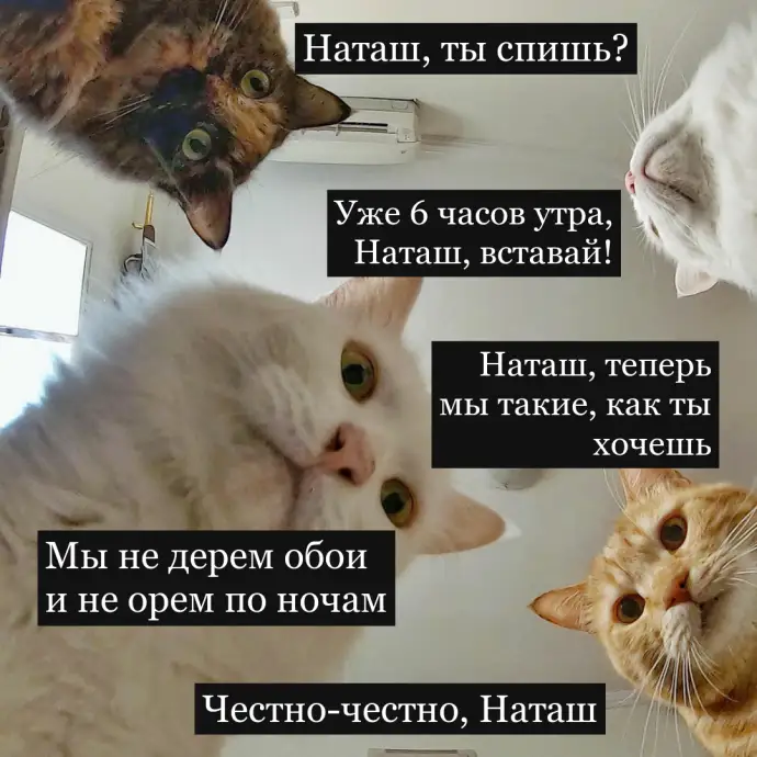 Стартапы нашей жизни