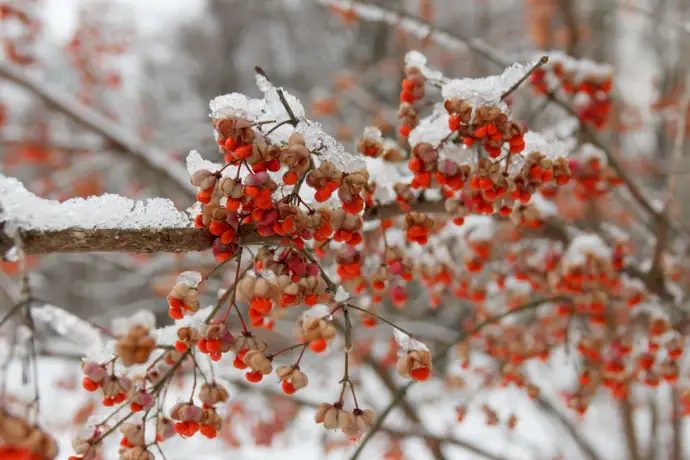 Декабрь — не финал, а порог