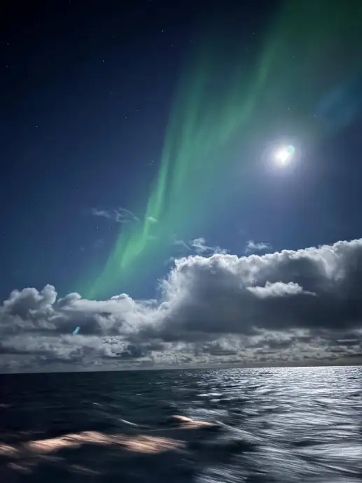 Точка удивления: почему умные люди перестали понимать очевидное