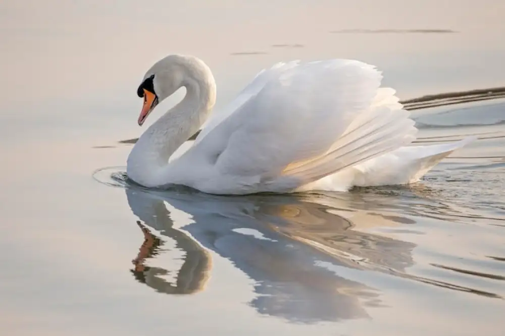 Дзен и искусство опережать время: Почему за кажущейся легкостью всегда стоит мощный интеллект