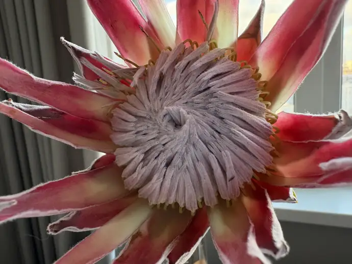 Парадокс успеха