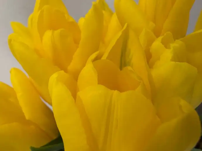 Взрослая женщина не просит особенного, она просит нормального