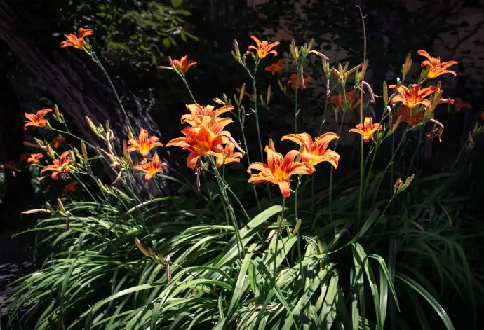 Производительность копирайтера: от хаоса до структурированных рабочих процессов