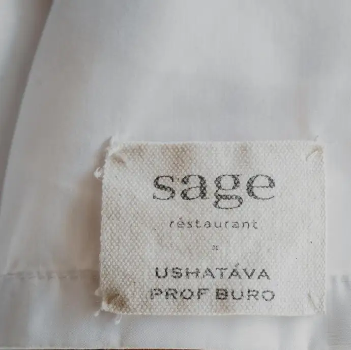 Sage: Sage: история успеха и признание критиков